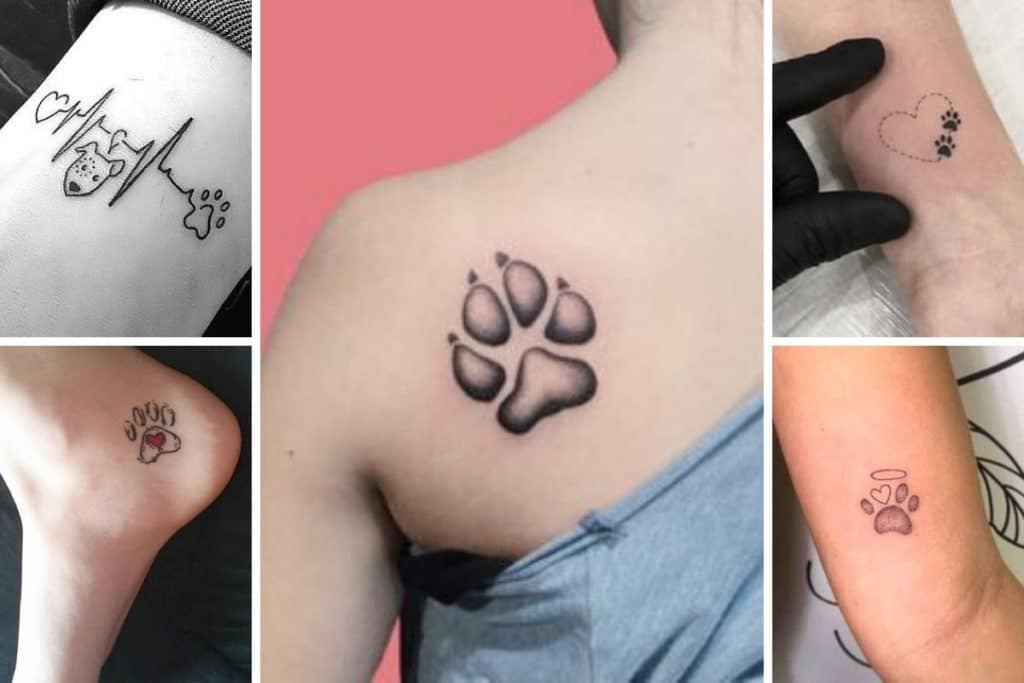 Tatuaggio zampa cane: significato e foto da condividere - CapelliStyle