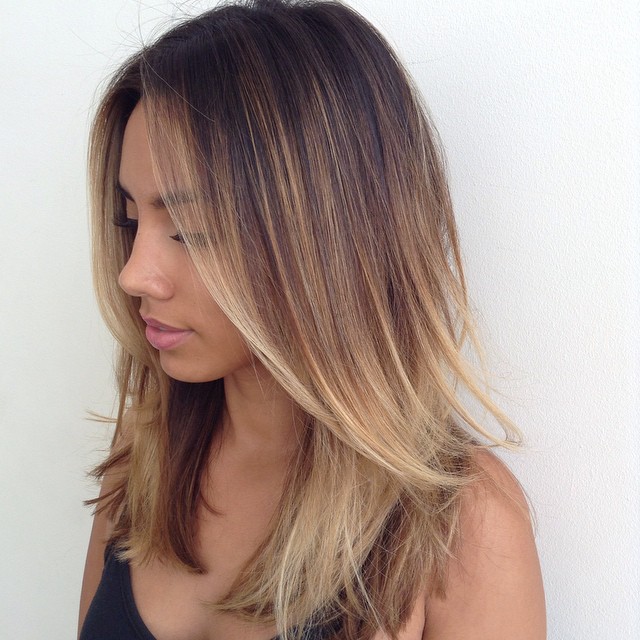1 Medium Layered Brown Ombre Hair 