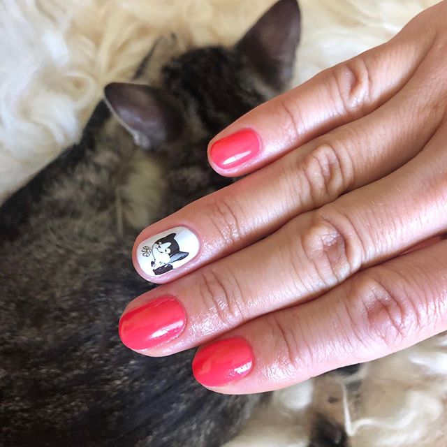 Manicure con i gatti